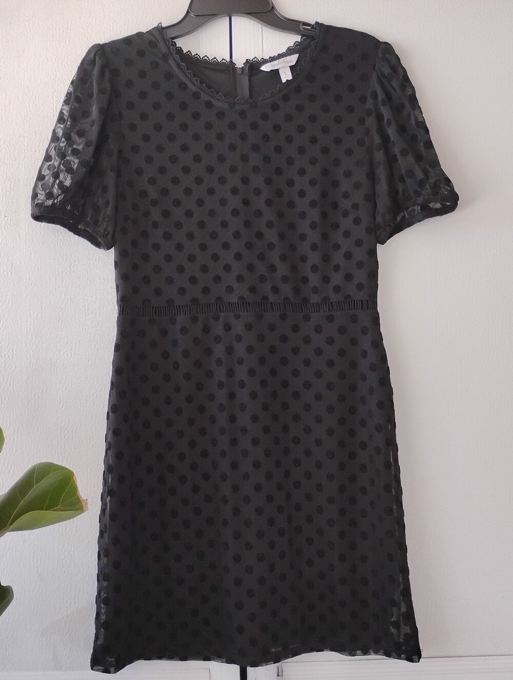 Speechless Classic Black Polka Dot Short Sleeve Dress